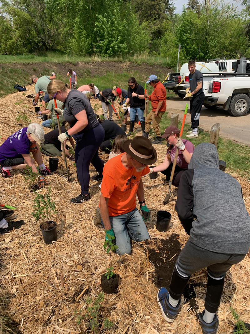 Planting with Meewasin for Arbor week