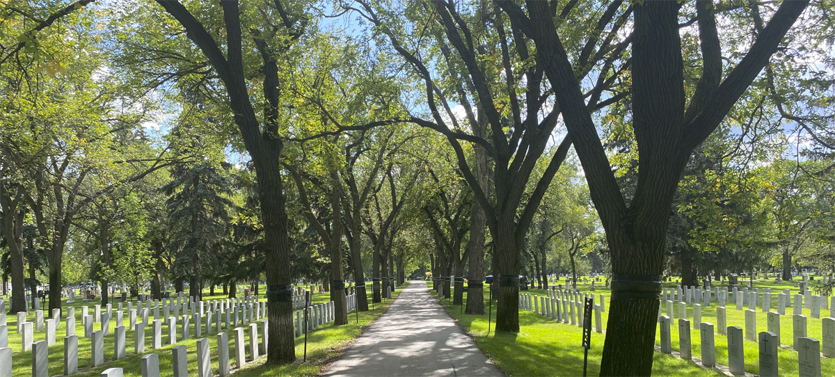 Woodlawn Cemetery