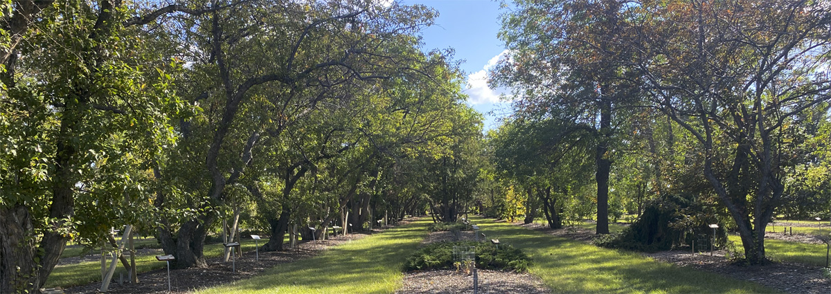 Patterson Garden Arboretum