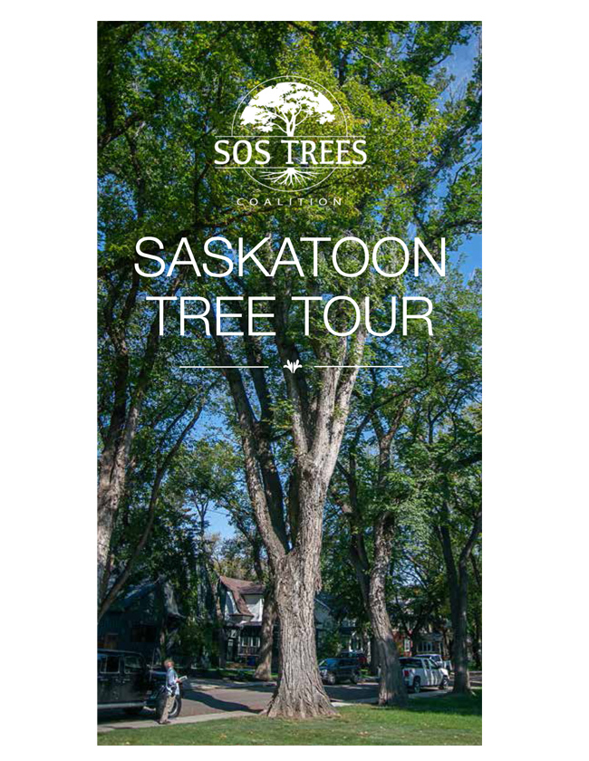 Tree Tour Booklet front cover