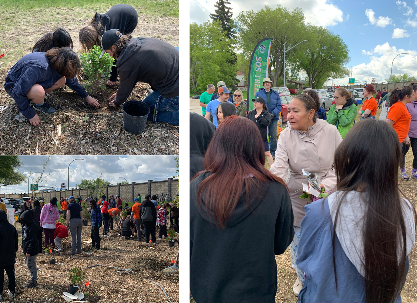 photos of tree planters