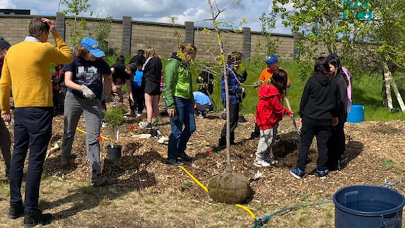 Tree Planting Project