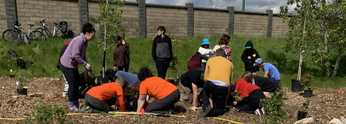 Arbor Week Tree Planting